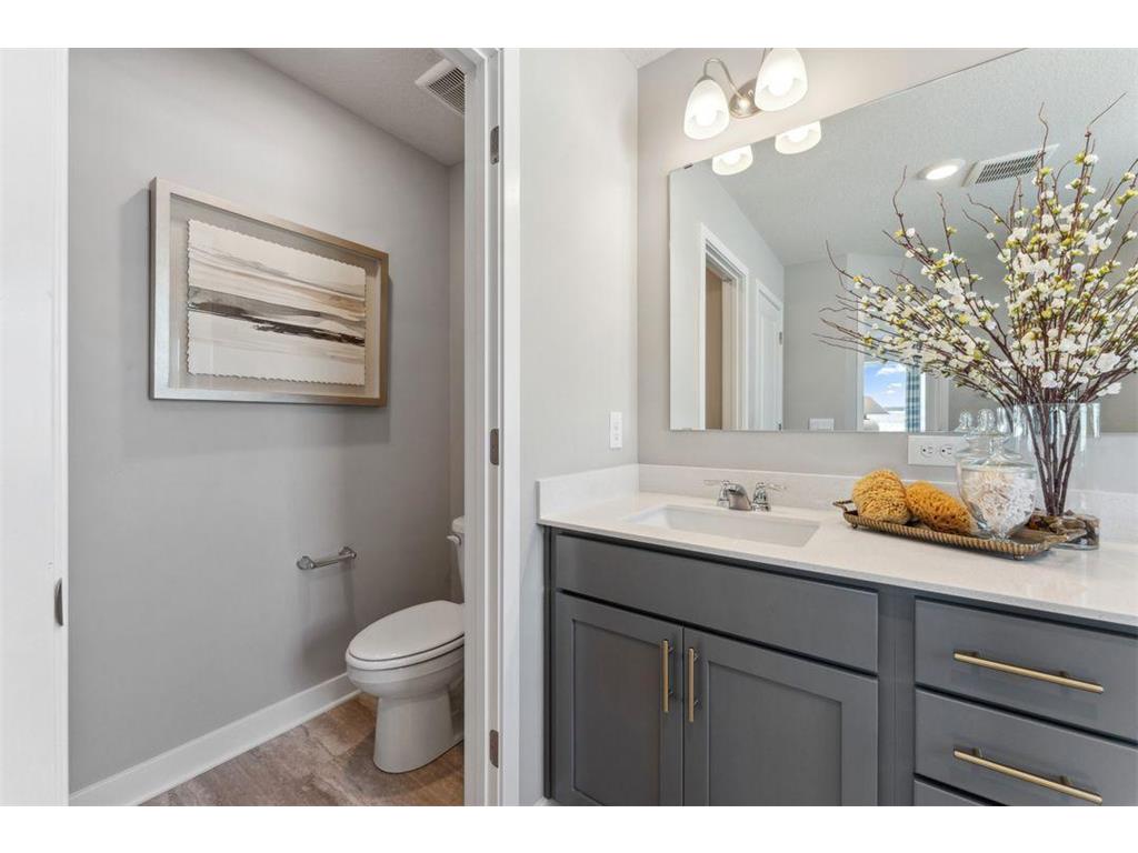 887 Laurel Court Chaska MN 55318 7006190 image45