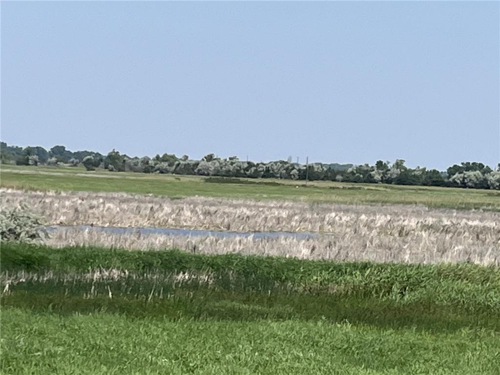 88700 388th Avenue Weimer Twp MN 56137 6717864 image63