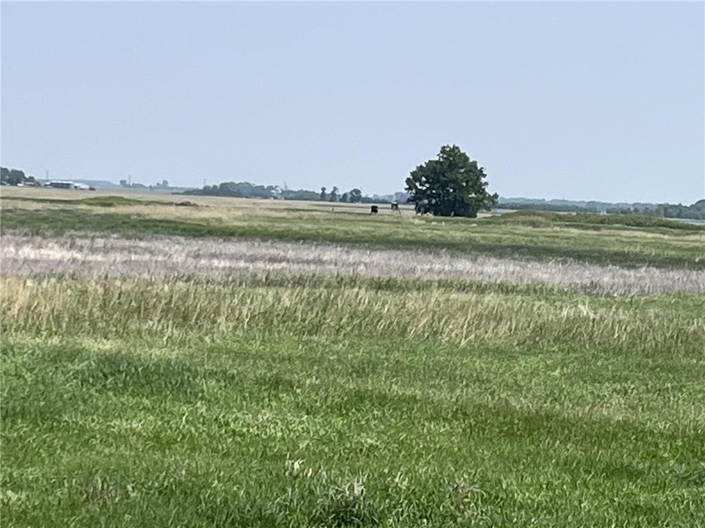 88700 388th Avenue Weimer Twp MN 56137 6717864 image64