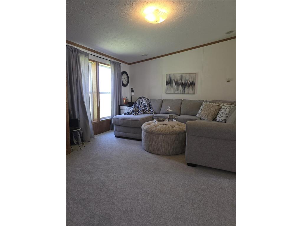 88700 388th Avenue Weimer Twp MN 56137 6717864 image8