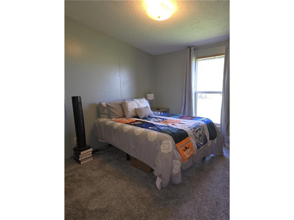 88700 388th Avenue Weimer Twp MN 56137 6717864 image20