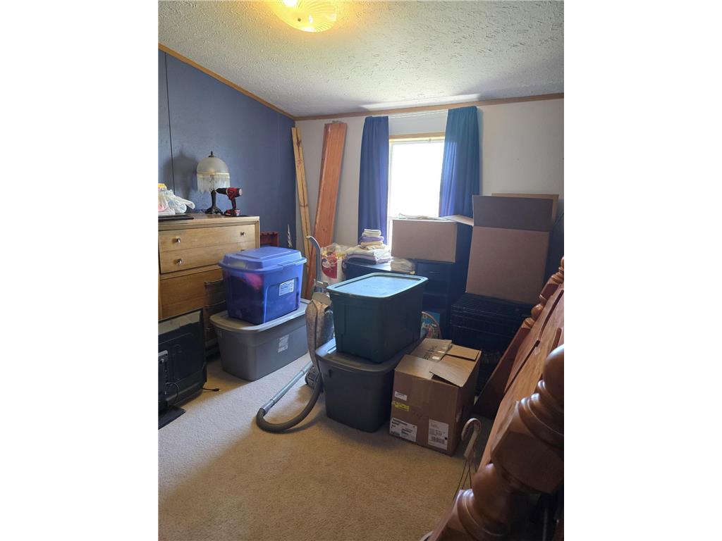 88700 388th Avenue Weimer Twp MN 56137 6717864 image22