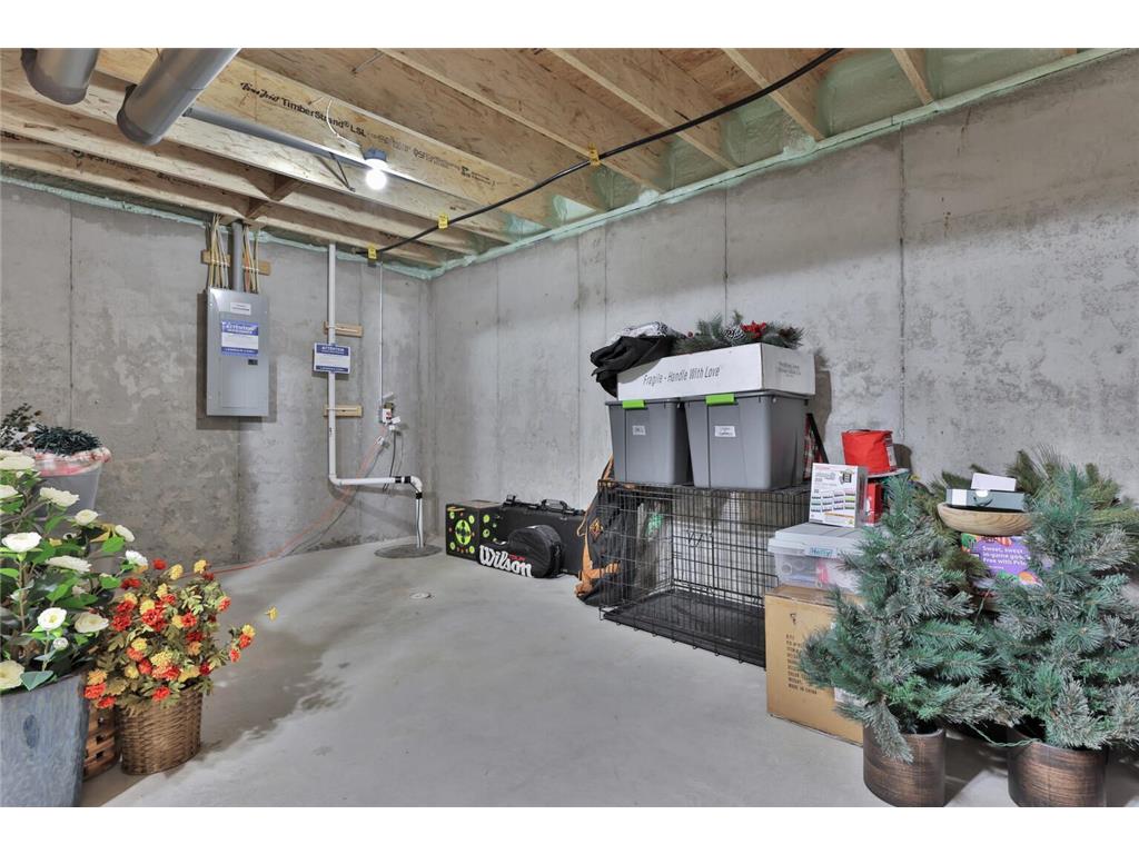 8872 Donax Row Woodbury MN 55129 7062433 image53