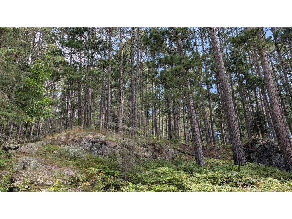 8884 Raps Road Beatty Twp MN 55723 - Vermilion 7015072 image42