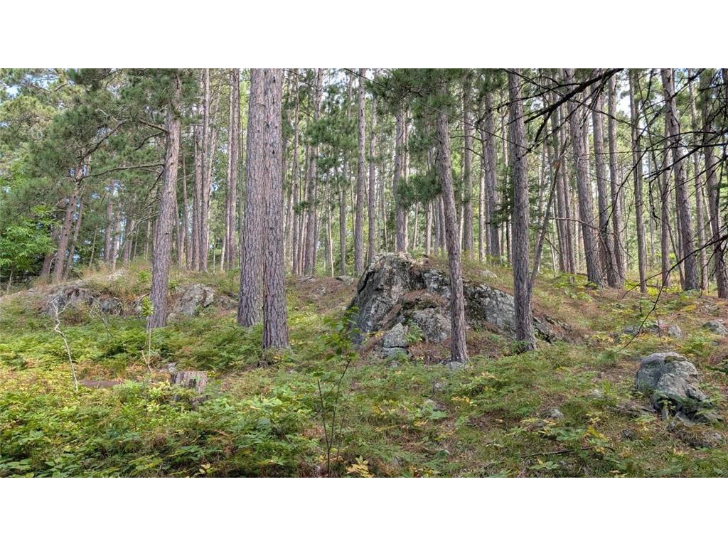 8884 Raps Road Beatty Twp MN 55723 - Vermilion 7015072 image43