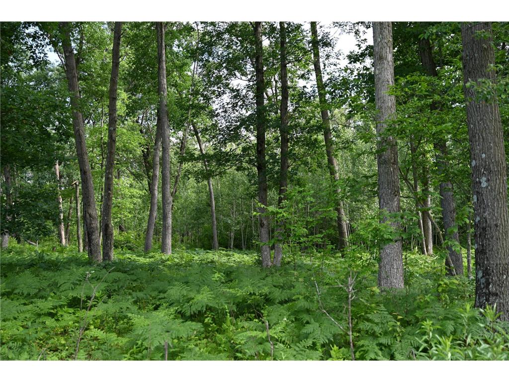 8887 Fosberg Road Daniels Twp WI 54872 6747686 image1