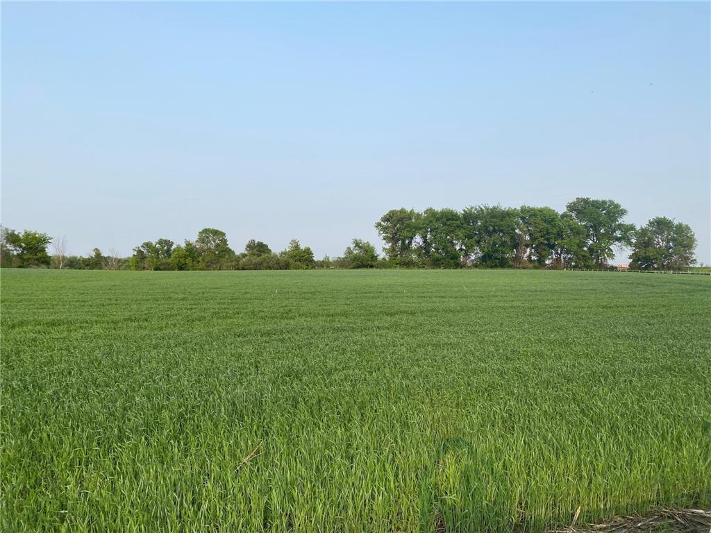 8890 Grace Lane N Greenfield MN 55357 6345220 image1