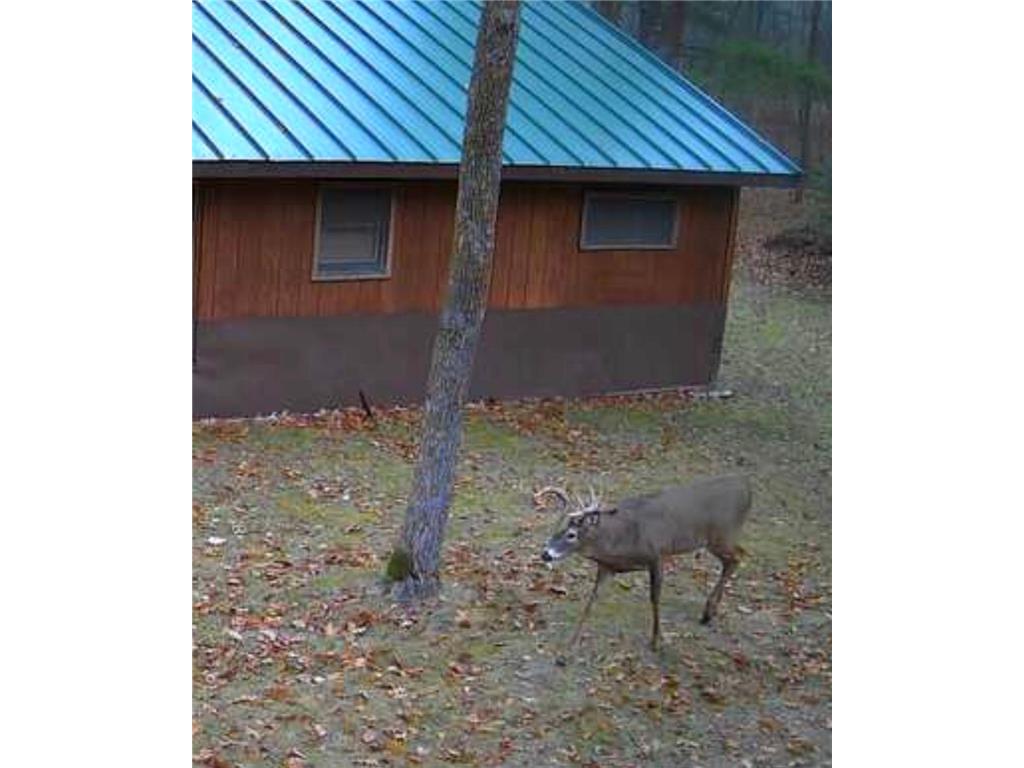 8891 Boy Lake Drive NE Remer MN 56672 7071177 image25