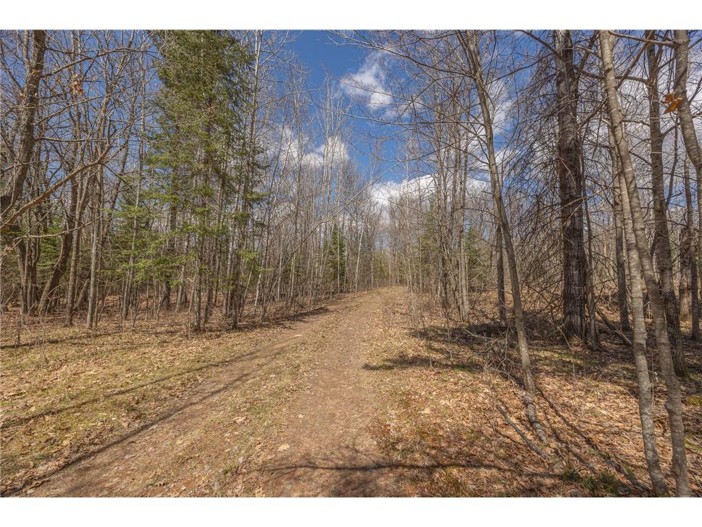 8891 Boy Lake Drive NE Remer MN 56672 7071177 image28