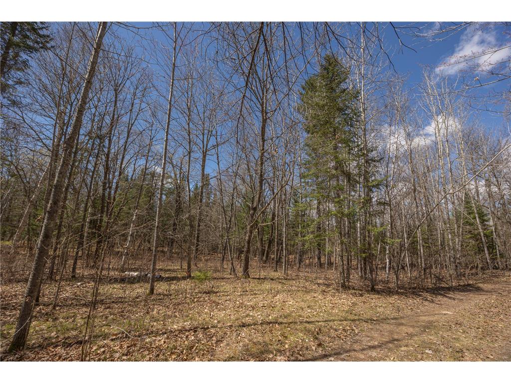 8891 Boy Lake Drive NE Remer MN 56672 7071177 image30