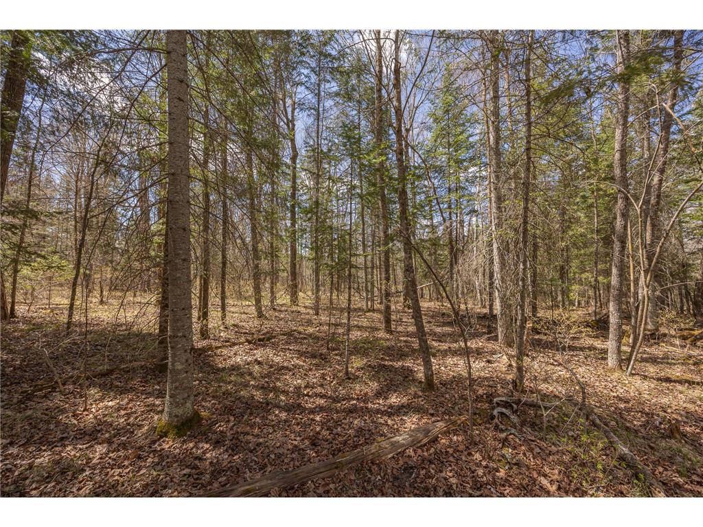 8891 Boy Lake Drive NE Remer MN 56672 7071177 image31