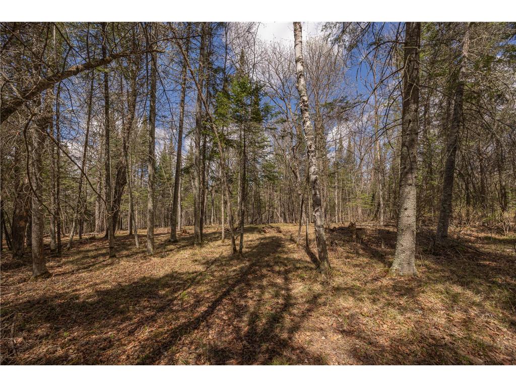 8891 Boy Lake Drive NE Remer MN 56672 7071177 image32