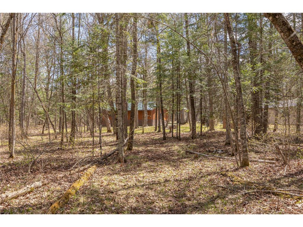 8891 Boy Lake Drive NE Remer MN 56672 7071177 image34