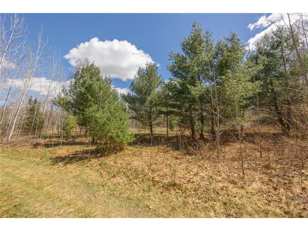 8891 Boy Lake Drive NE Remer MN 56672 7071177 image35
