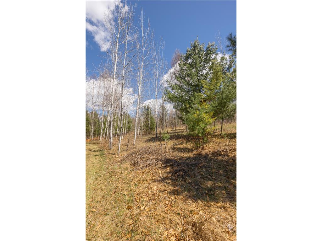 8891 Boy Lake Drive NE Remer MN 56672 7071177 image36