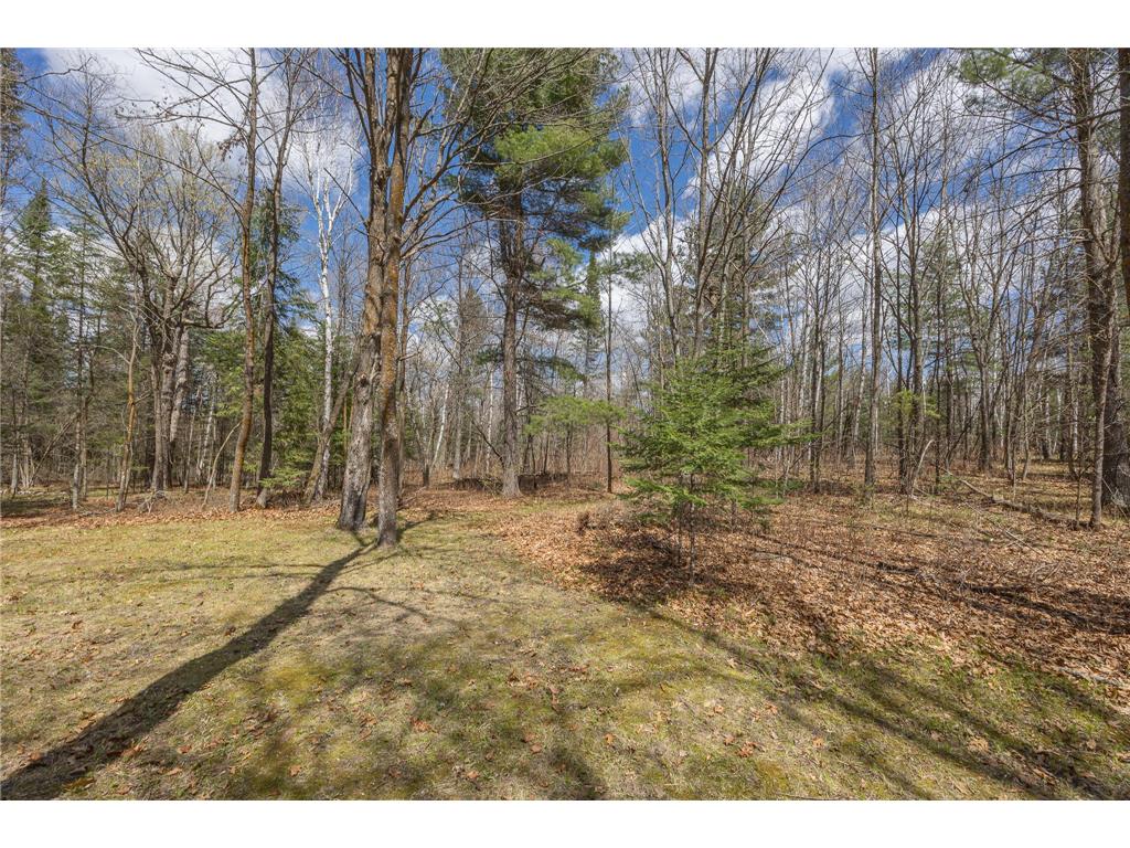 8891 Boy Lake Drive NE Remer MN 56672 7071177 image38
