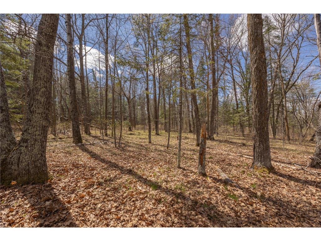 8891 Boy Lake Drive NE Remer MN 56672 7071177 image4