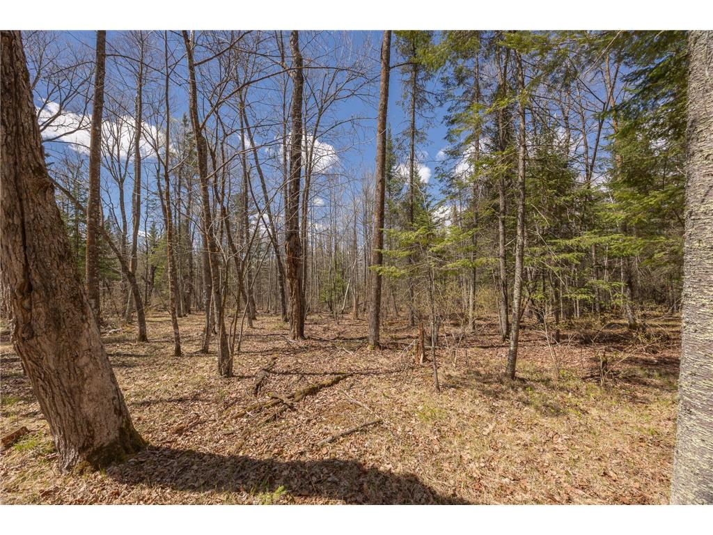 8891 Boy Lake Drive NE Remer MN 56672 7071177 image40
