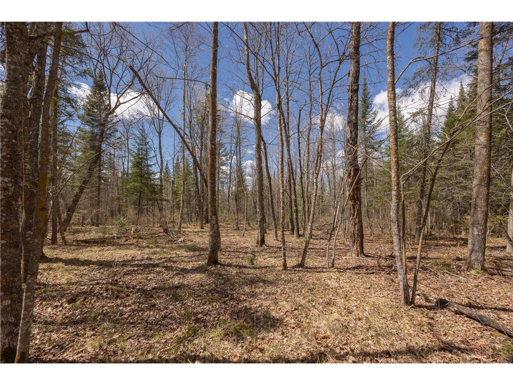 8891 Boy Lake Drive NE Remer MN 56672 7071177 image41