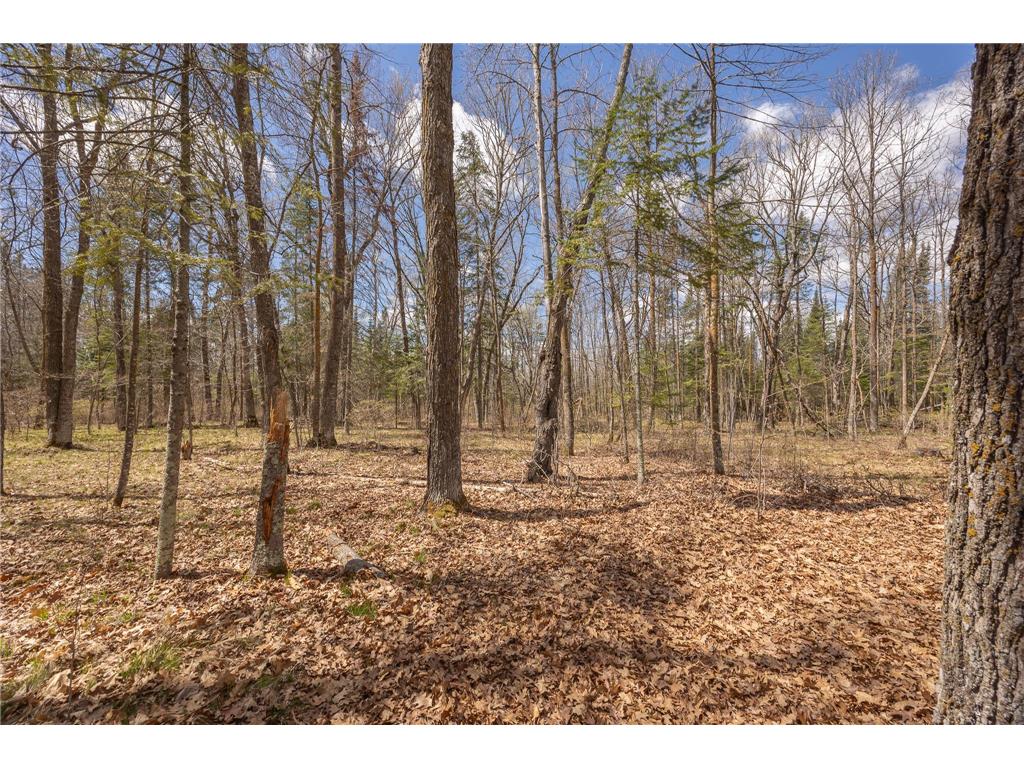 8891 Boy Lake Drive NE Remer MN 56672 7071177 image42