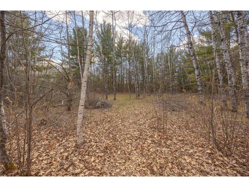 8891 Boy Lake Drive NE Remer MN 56672 7071177 image43