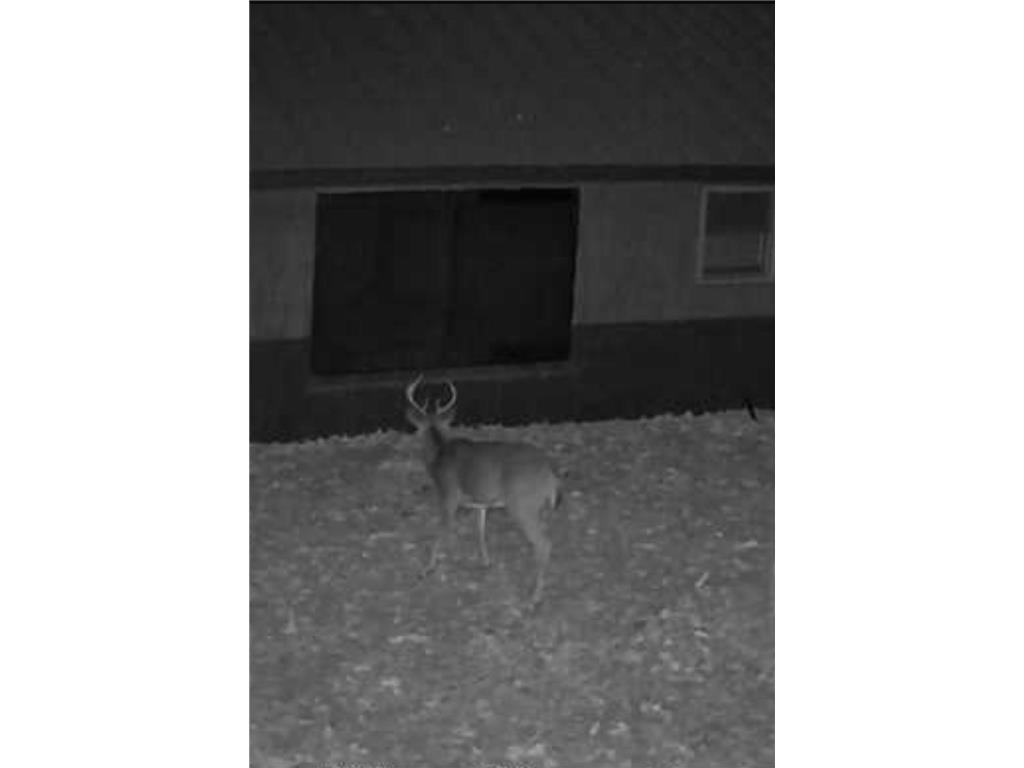 8891 Boy Lake Drive NE Remer MN 56672 7071177 image45