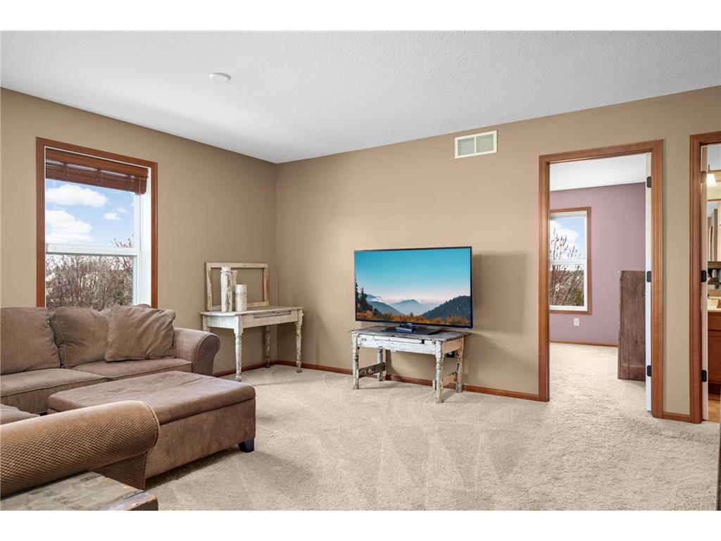 8897 67th Street Bay South Cottage Grove MN 55016 7061023 image13