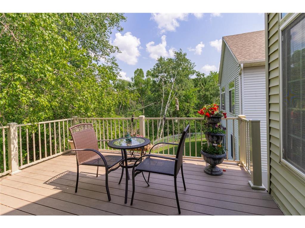 8897 Compton Drive Inver Grove Heights MN 55076 7100497 image31
