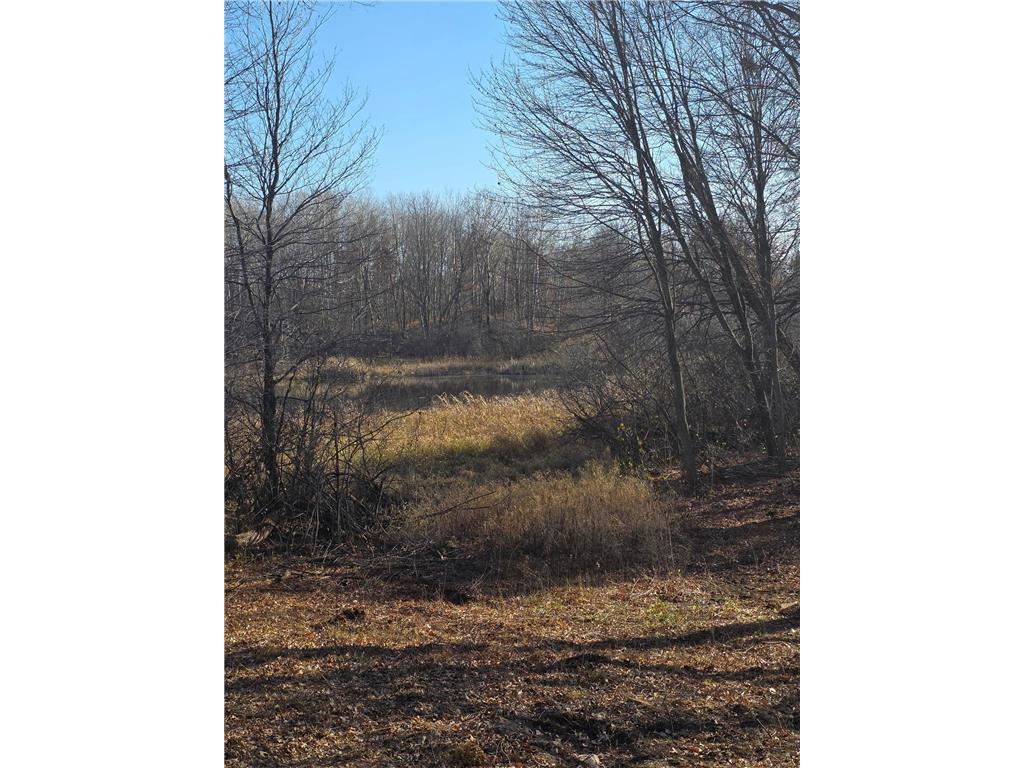 891 Elins Lake Road SE Cambridge MN 55008 - Elms 7004356 image10