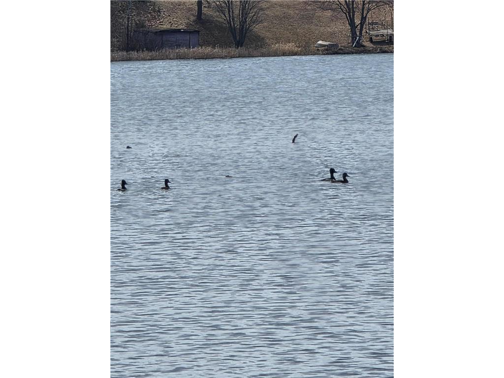 891 Elins Lake Road SE Cambridge MN 55008 - Elms 7004356 image12