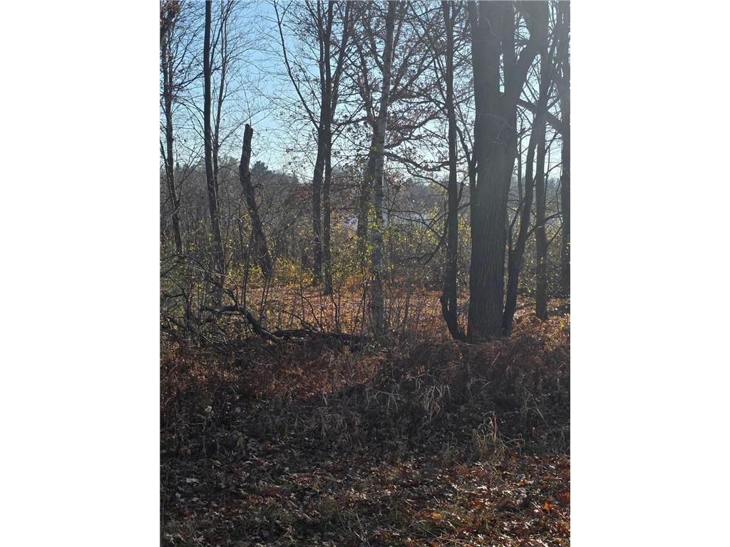 891 Elins Lake Road SE Cambridge MN 55008 - Elms 7004356 image9