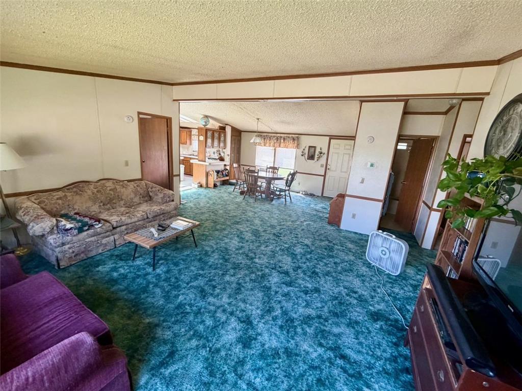 8912 Carpenter Road Alango Twp MN 55703 7083449 image3