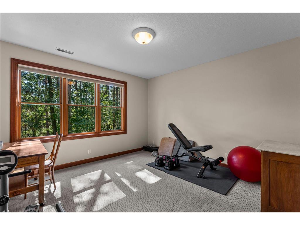 8917 Joliet Avenue N Grant MN 55082 - Masterman 7068939 image37