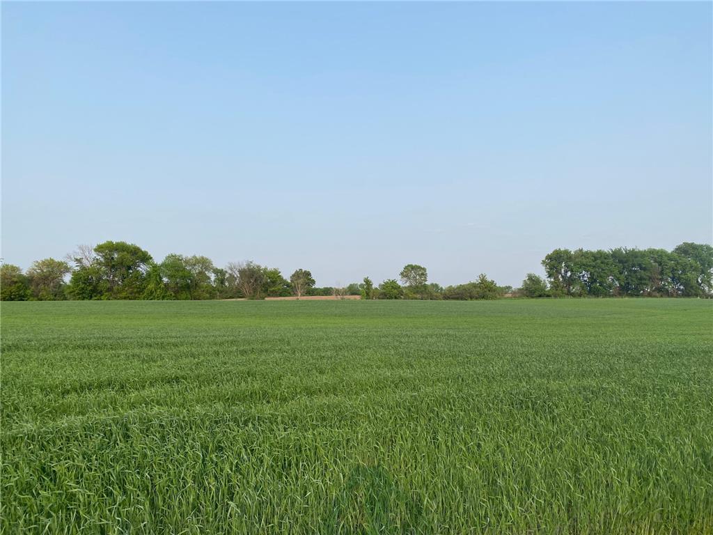 8920 Grace Lane N Greenfield MN 55357 6345214 image1