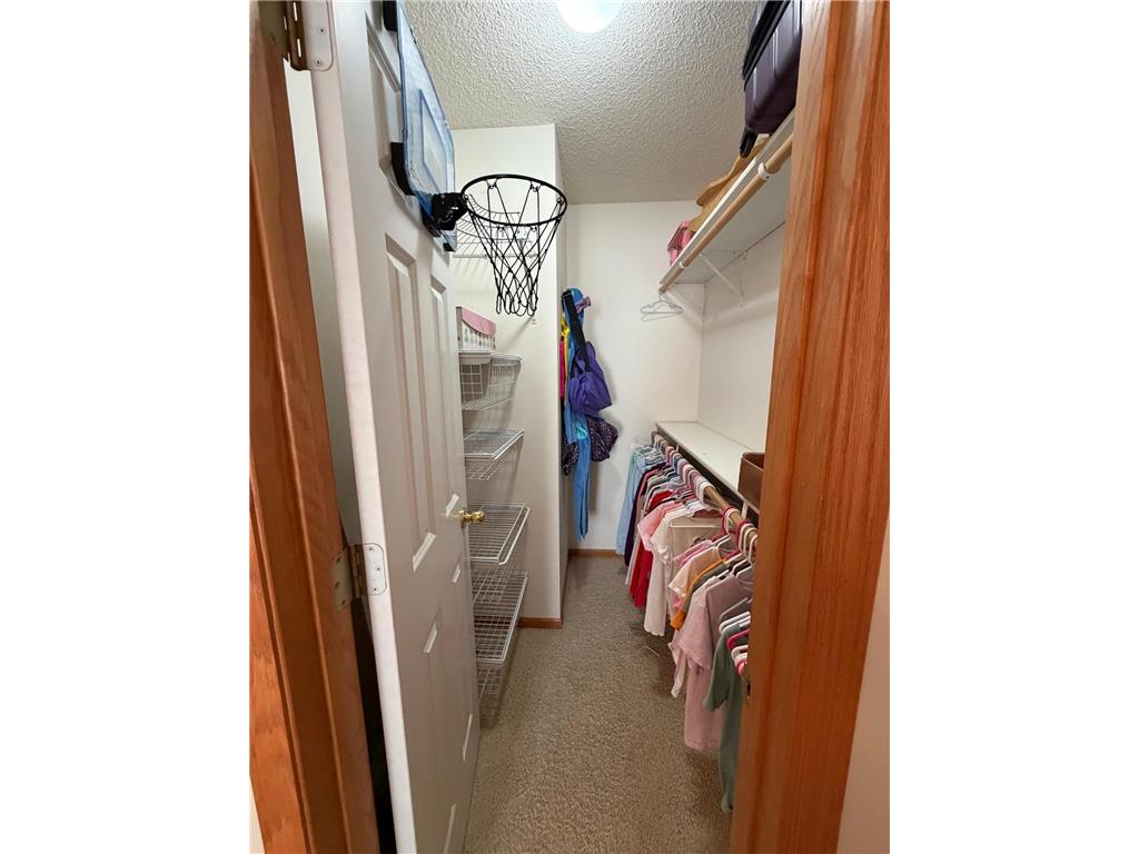 8920 Pheasant Lane Saint Bonifacius MN 55375 7077506 image17