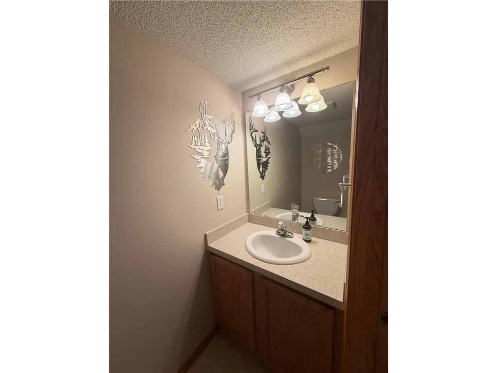 8920 Pheasant Lane Saint Bonifacius MN 55375 7077506 image8