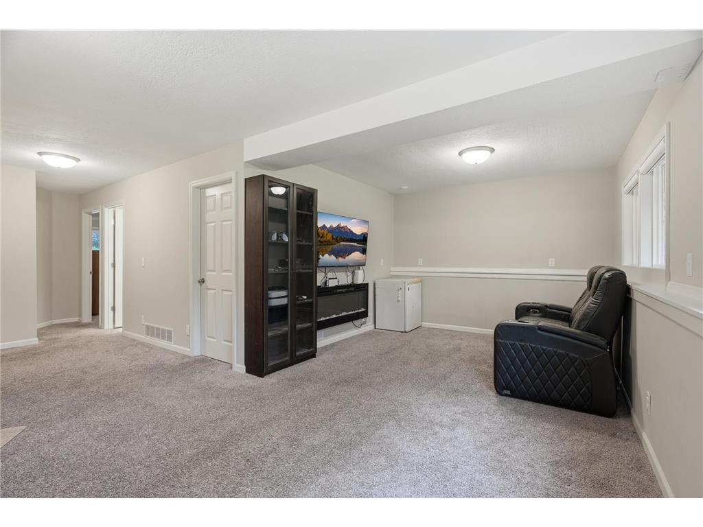 8923 Janero Avenue S Cottage Grove MN 55016 7089672 image21