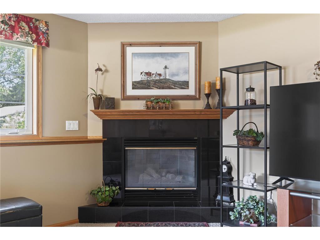 893 Marnie Circle S Maplewood MN 55119 7098107 image32