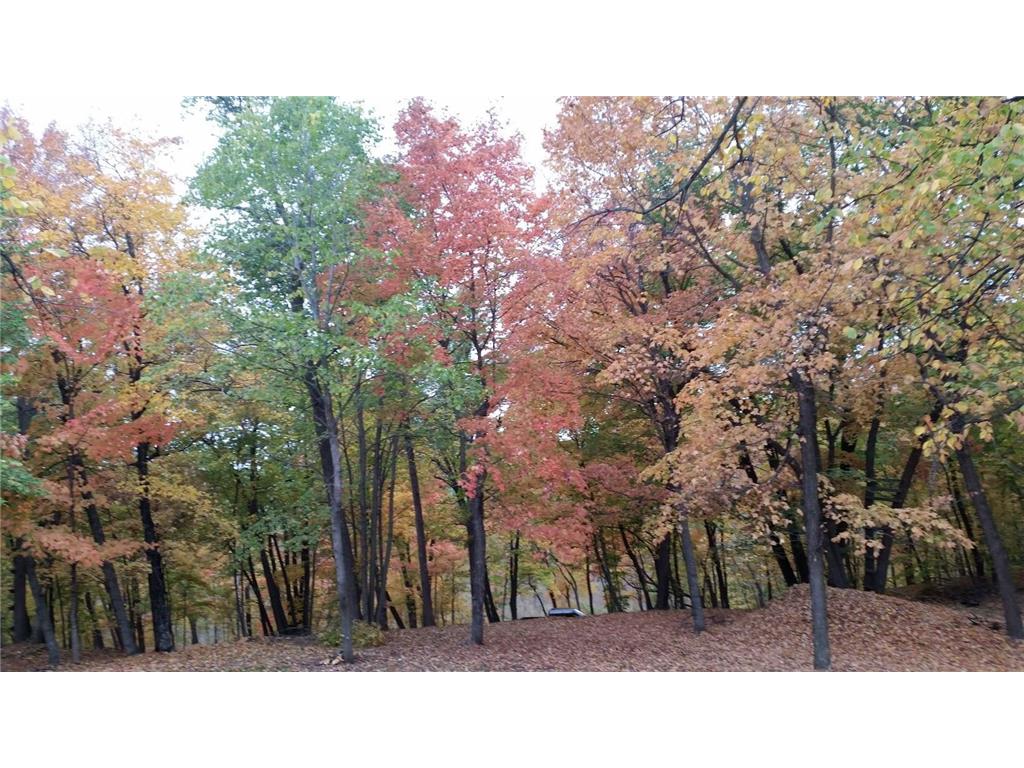 893 White Clover Beach Road Detroit Lakes MN 56501 6816402 image10