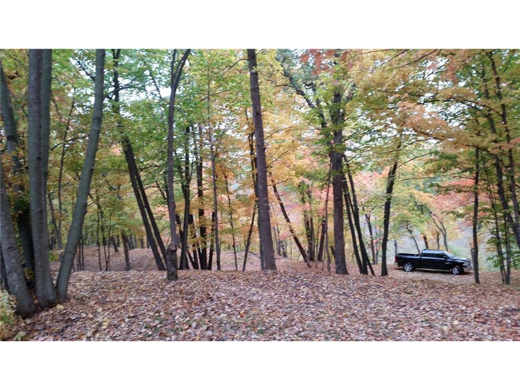 893 White Clover Beach Road Detroit Lakes MN 56501 6816402 image11