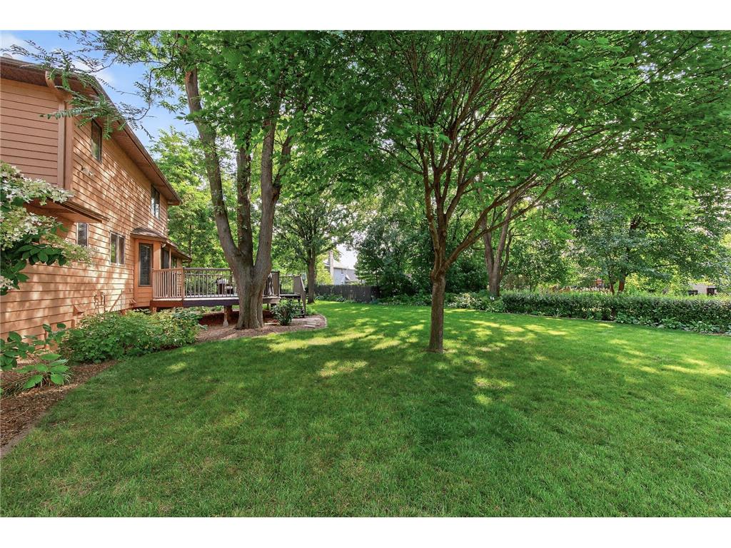 8931 Ashley Terrace Brooklyn Park MN 55443 6779253 image33