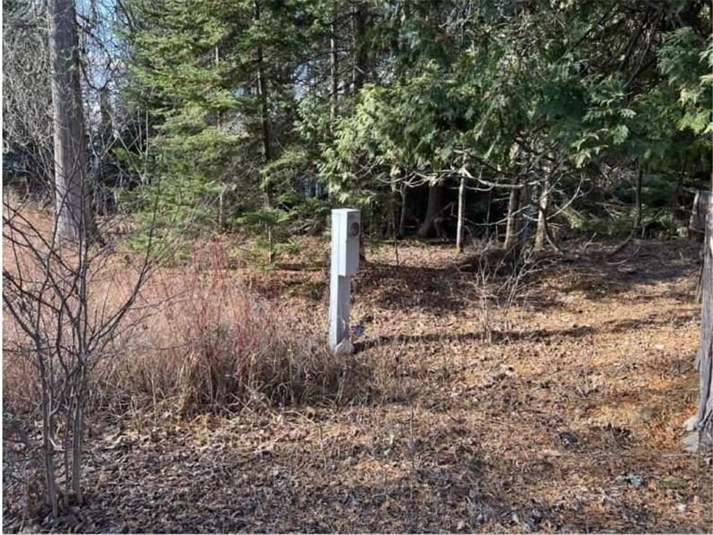 89435 Jack Pine Road, Bell Twp, WI, 54827 MLS 6496367 Edina Realty