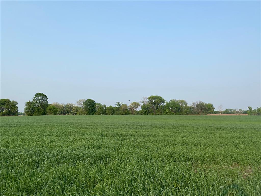 8950 Grace Lane N Greenfield MN 55357 6345209 image1