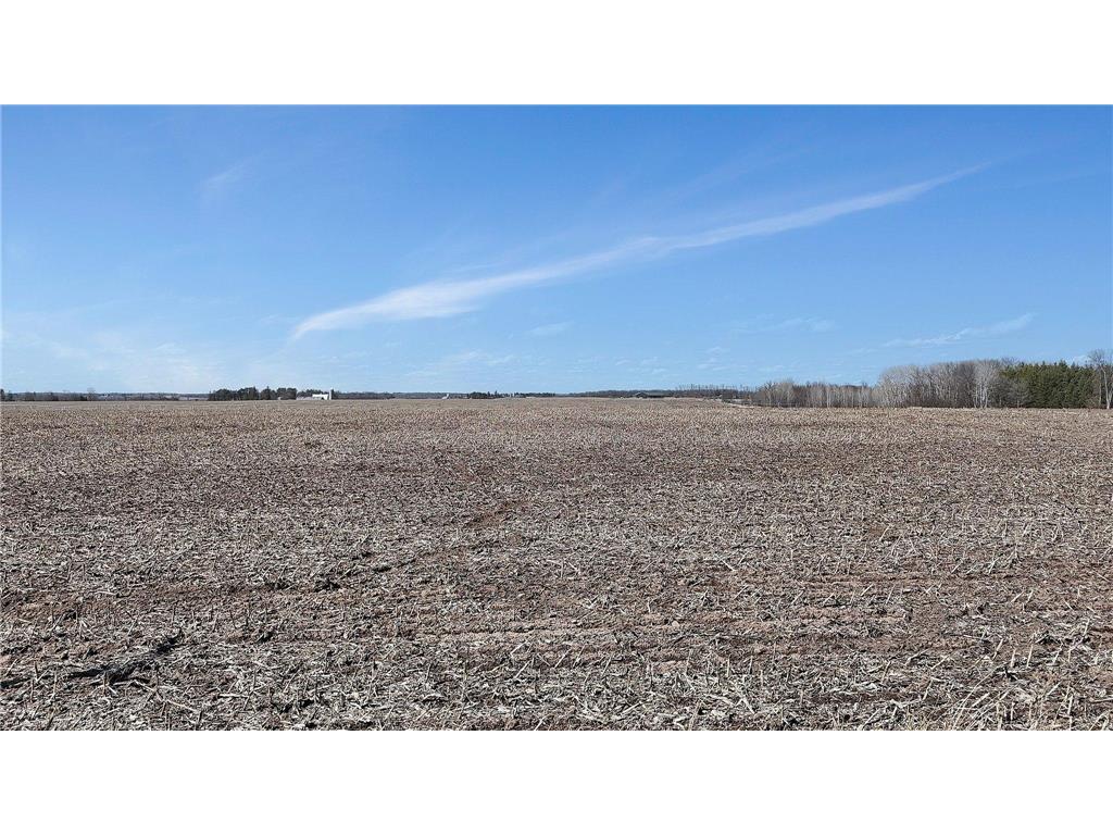 8951 95th Street NE Gilmanton Twp MN 56329 6708495 image1
