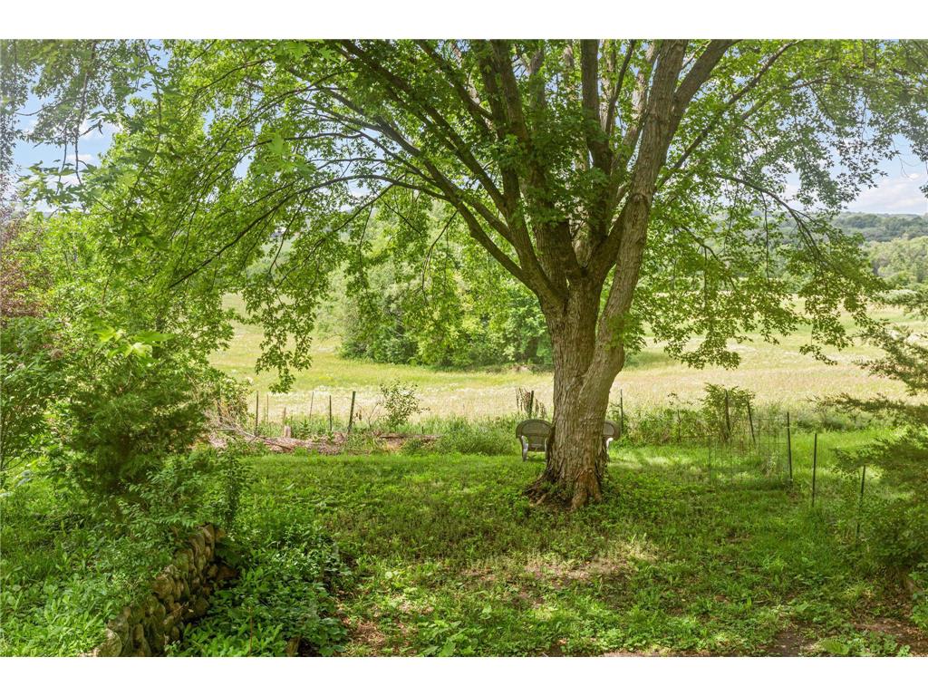 8955 Hilltop Drive Saint Bonifacius MN 55375 7099111 image35