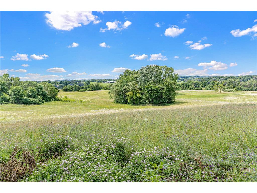 8955 Hilltop Drive Saint Bonifacius MN 55375 7099111 image38