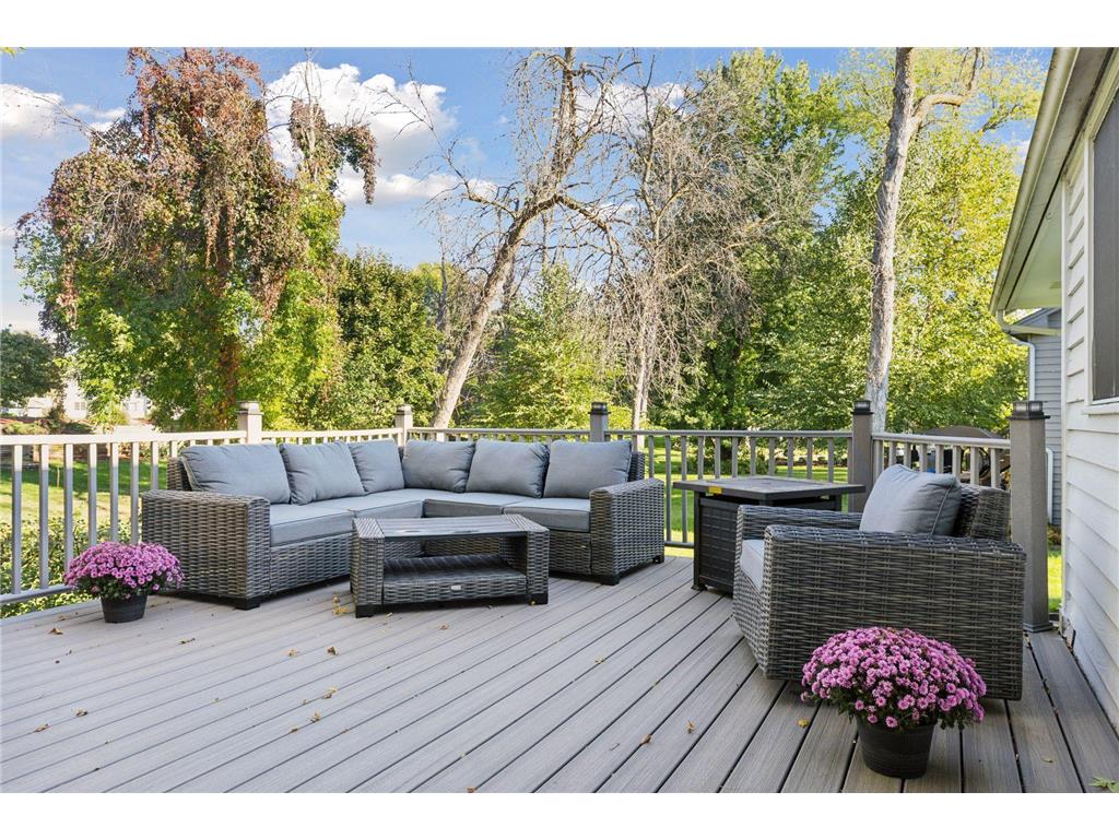 8960 Montegue Terrace Brooklyn Park MN 55443 7052242 image28