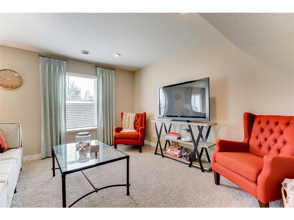 8963 Joliet Avenue S Cottage Grove MN 55016 7028380 image25