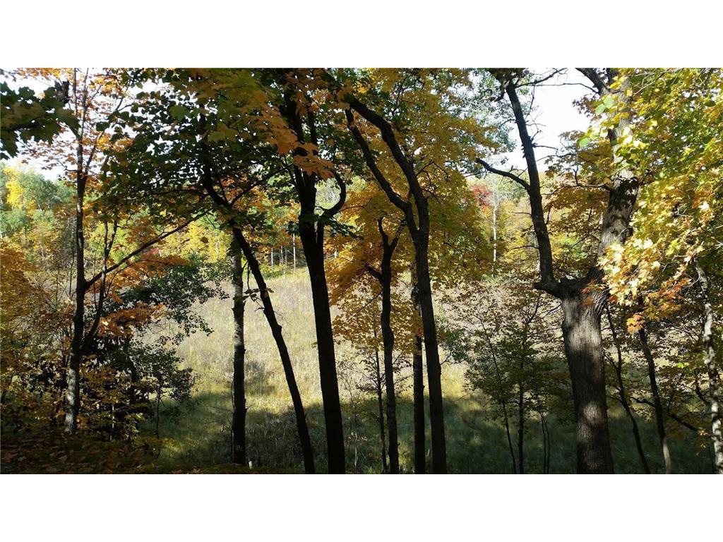 897 White Clover Beach Road Detroit Lakes MN 56501 6816404 image13