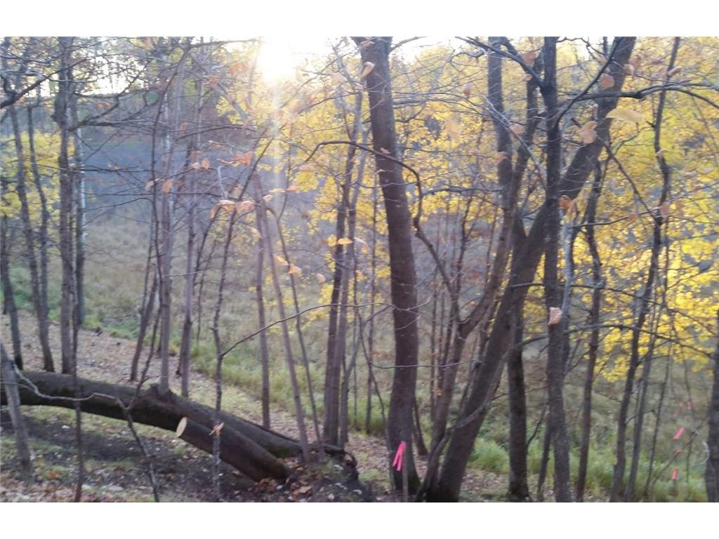 897 White Clover Beach Road Detroit Lakes MN 56501 6816404 image8